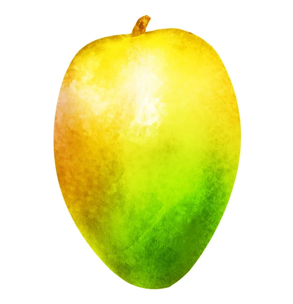 Akvarell mango på vitt — Stockfoto