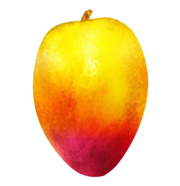 Aquarell Mango auf Weiß — Stockfoto