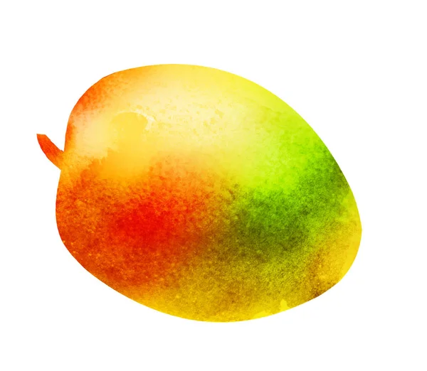 Aquarell Mango auf Weiß — Stockfoto