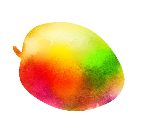 Akvarell mangó fehér — Stock Fotó