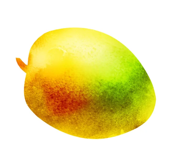 Watercolor mango on white — ストック写真