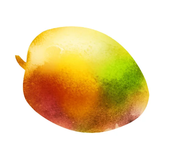 Mango acquerello su bianco — Foto Stock