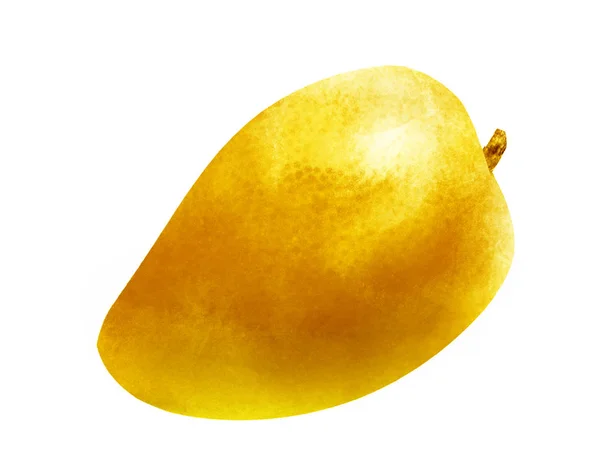 Акварельний манго на білому — стокове фото