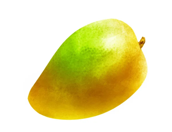 Akvarelové mango na bílém — Stock fotografie