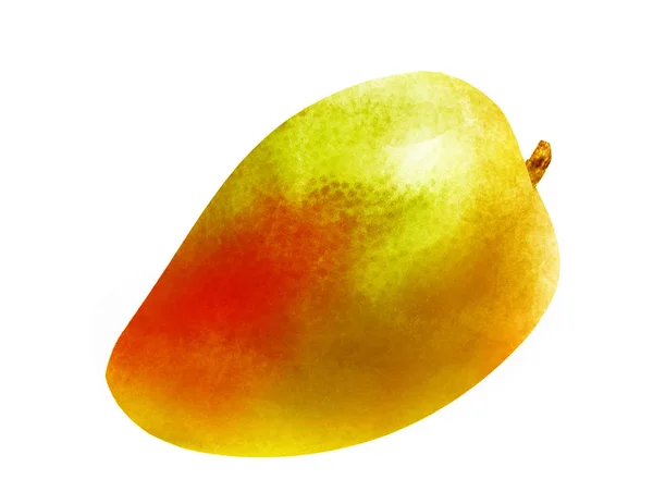 Akvarell mango på vitt — Stockfoto