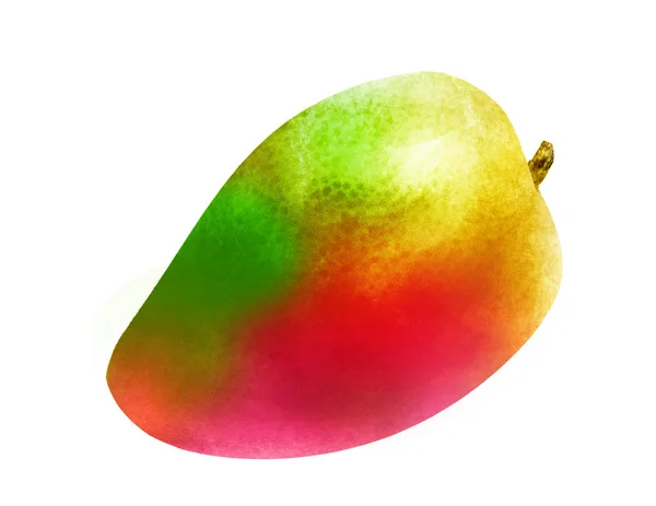 Mango acquerello su bianco — Foto Stock