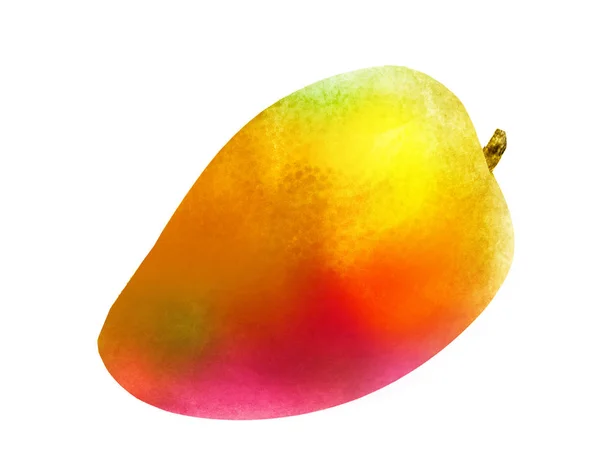 Mango acquerello su bianco — Foto Stock