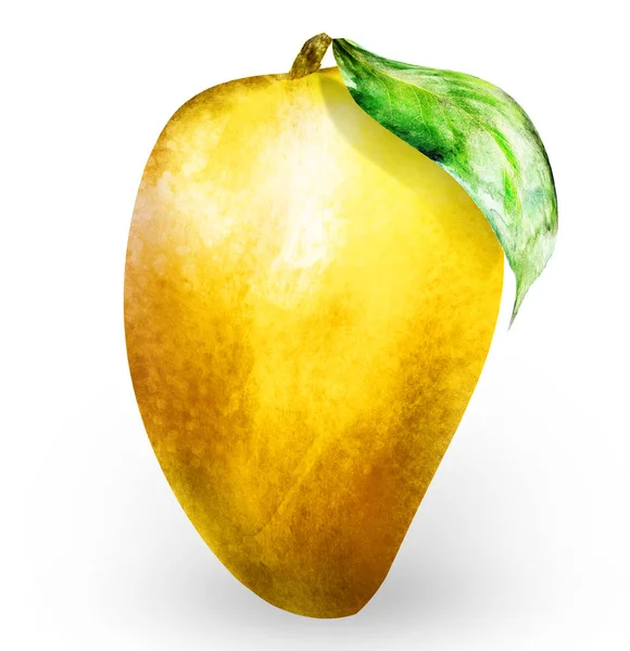 Mango acquerello su bianco — Foto Stock