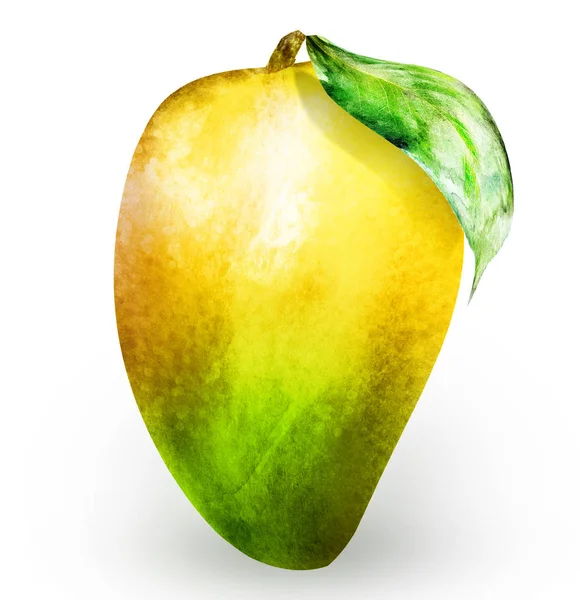 Watercolor mango on white — Stock Photo, Image