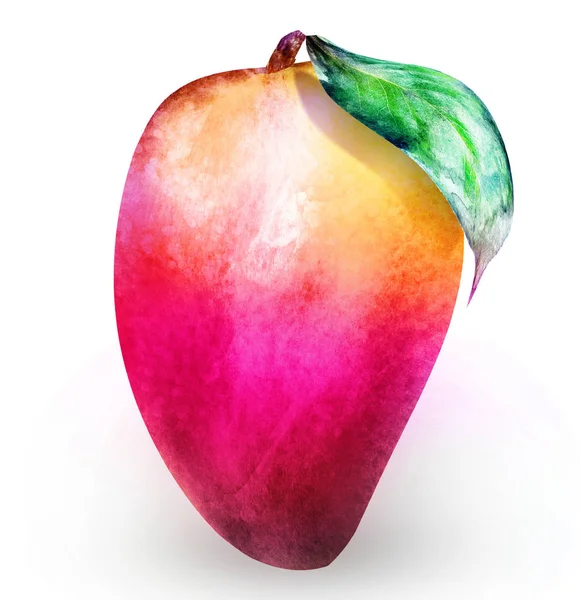 Mango acquerello su bianco — Foto Stock