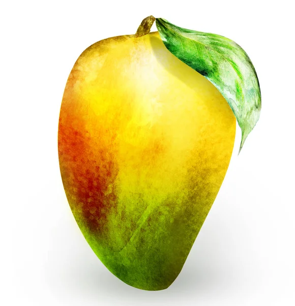 Mango acquerello su bianco — Foto Stock