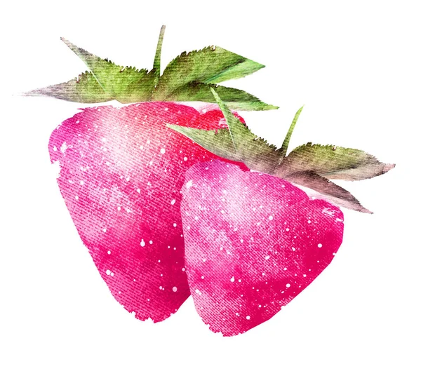 Fragola acquerello su bianco — Foto Stock