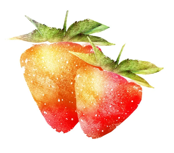 白地にイチゴの水彩画 — ストック写真