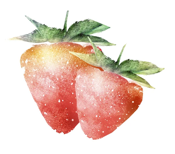草莓在白色的水彩 — 图库照片
