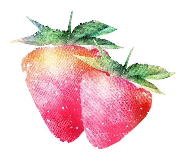 Aquarelle fraise sur blanc — Photo