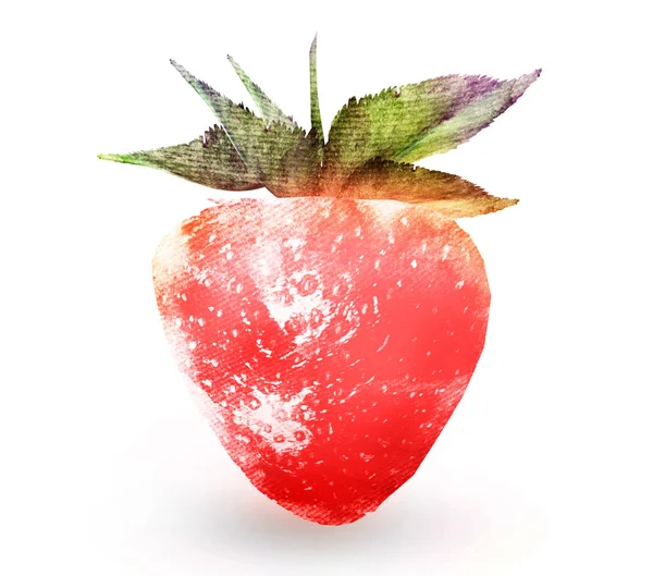 Aquarelle fraise sur blanc — Photo