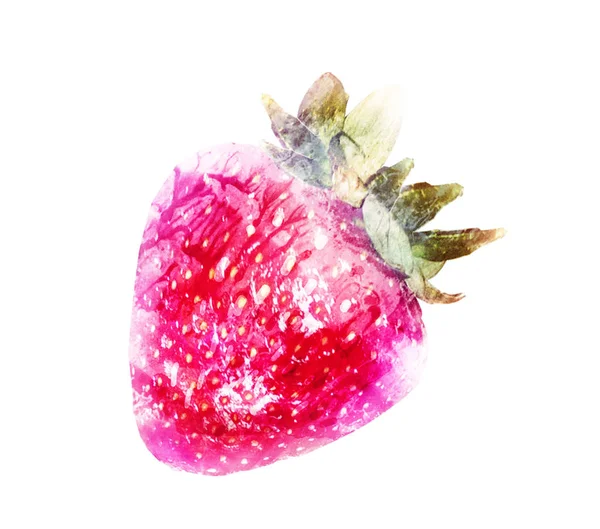 Acuarela fresa en blanco —  Fotos de Stock