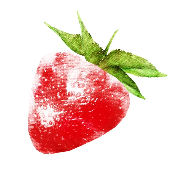 Ακουαρέλα φράουλα σε λευκό — Φωτογραφία Αρχείου
