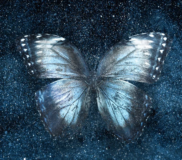 Univers ciel étoilé avec papillon — Photo