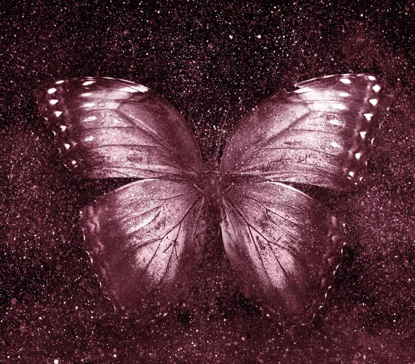 Universo céu estrelado com borboleta — Fotografia de Stock