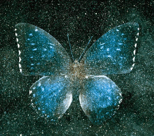 Universe starry sky with butterfly