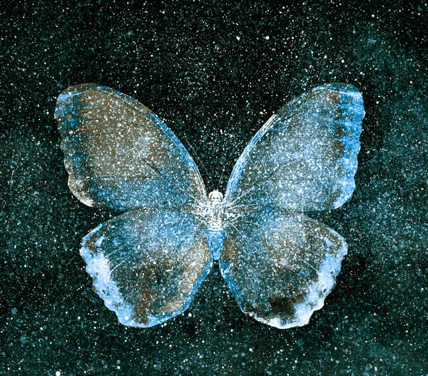 Univers ciel étoilé avec papillon — Photo