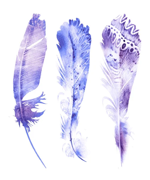 水彩羽毛，白色背景隔离 — 图库照片