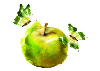 Kelebekli suluboya elma