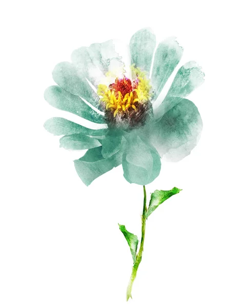 Flor de acuarela, aislada sobre fondo blanco — Foto de Stock