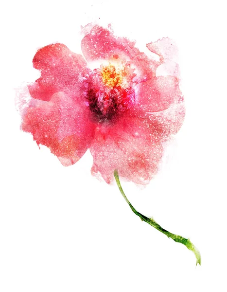 Fleur aquarelle, isolée sur fond blanc — Photo