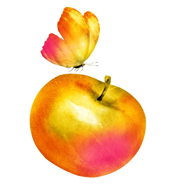 Watercolor apple with butterfly — Stock Photo, Image