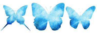 Kelebek silueti beyaz arkaplanda izole edildi