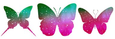 Kelebek silueti beyaz arkaplanda izole edildi