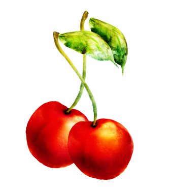 Beyaz üzerine suluboya kiraz