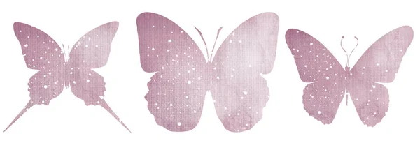 Motýlí Silueta Izolované Bílém Pozadí — Stock fotografie