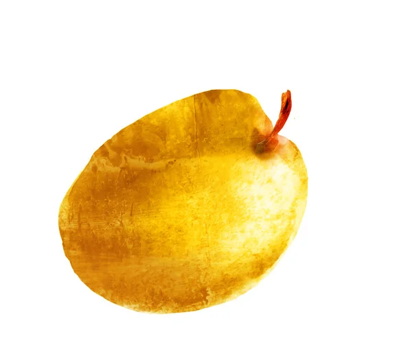 Aquarell Aprikose auf Weiß — Stockfoto