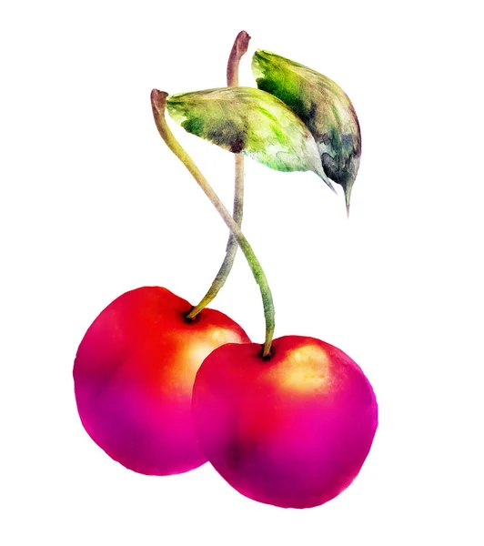 Watercolor cherry on white — Stock Photo, Image