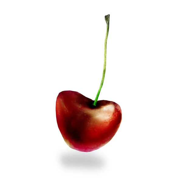 Watercolor cherry on white — Stock Photo, Image