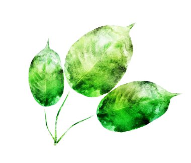 Beyaz üzerine suluboya yapraklar