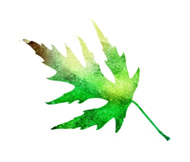 Beyaz üzerine suluboya yapraklar