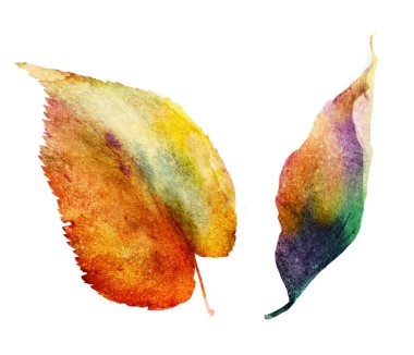 Beyaz üzerine suluboya yapraklar