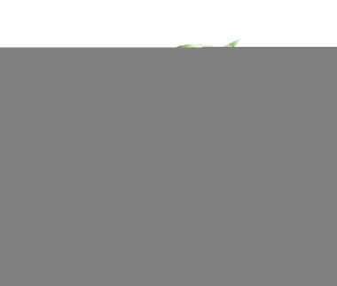 Beyaz üzerine suluboya yapraklar