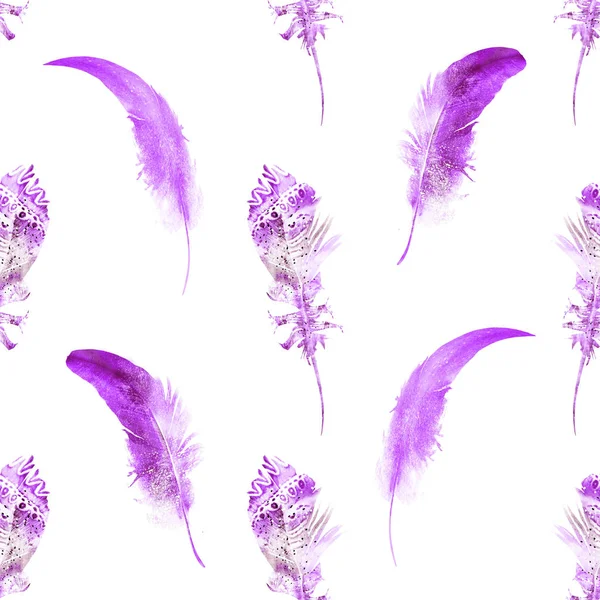 Seamless Pattern Watercolor Feathers Isolated White — Stock Photo, Image