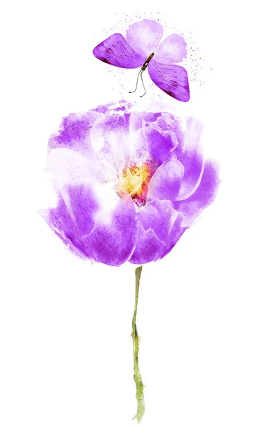 Акварельна Квітка Ізольована Білому Тлі — стокове фото