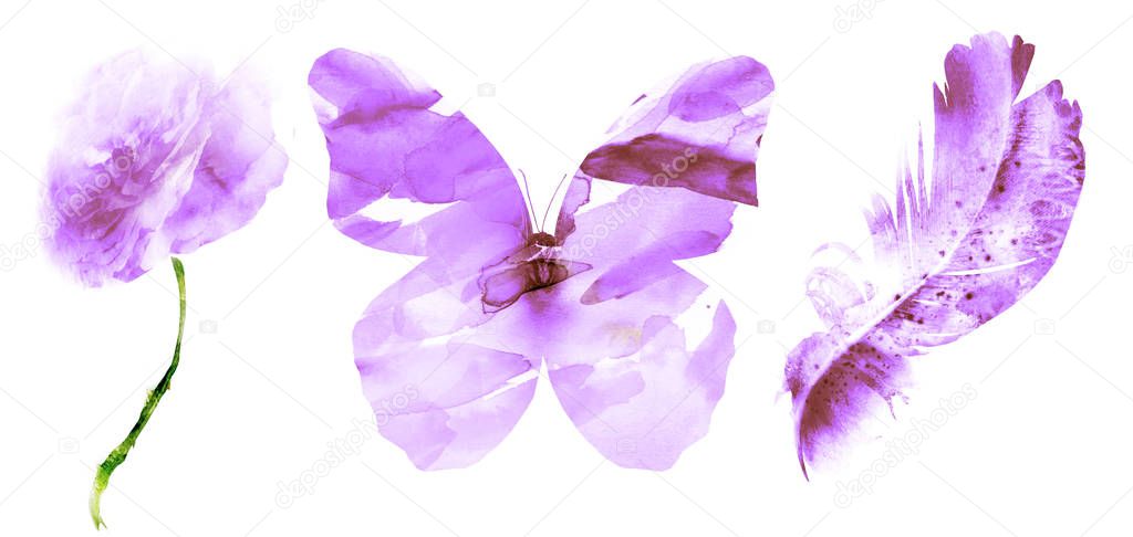 watercolor butterfly, feather and rose isolated on white
