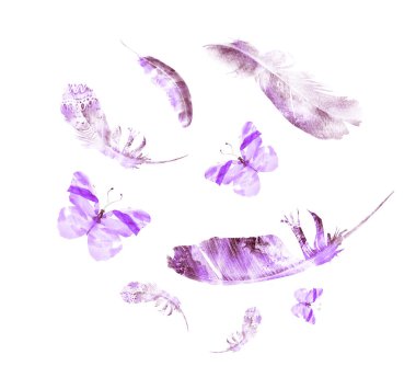 Beyaz üzerinde kelebekler olan suluboya tüyler