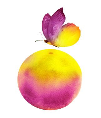 Kelebekli suluboya narenciye