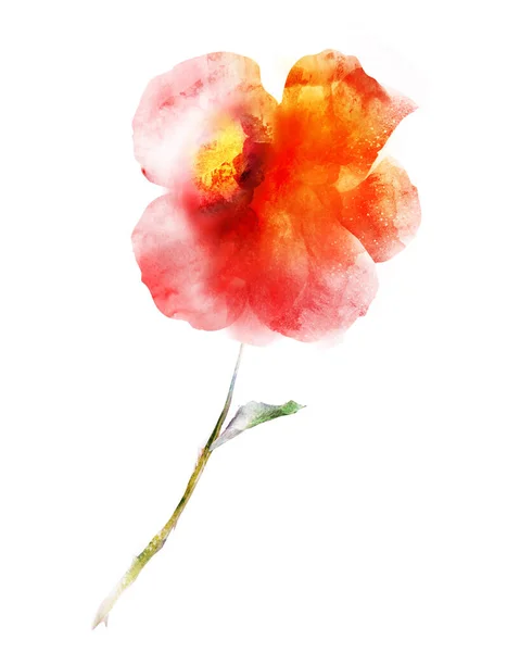 Watercolor Flower Isolated White Background — Stock Photo, Image