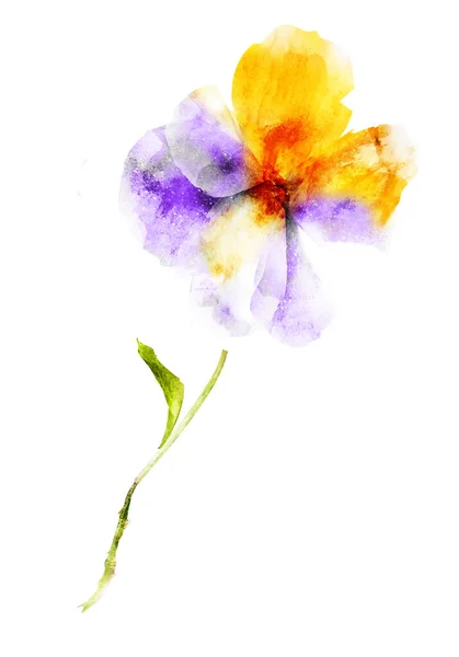 Akvarell Virág Izolált Fehér Háttér — Stock Fotó