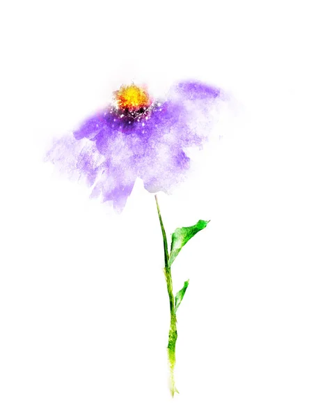 Acuarela Flor Aislada Sobre Fondo Blanco — Foto de Stock